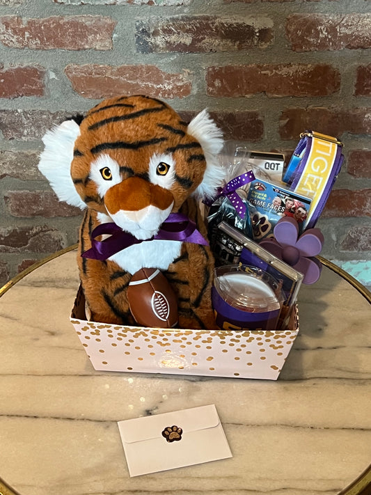 "Game Day Essentials" Box 1