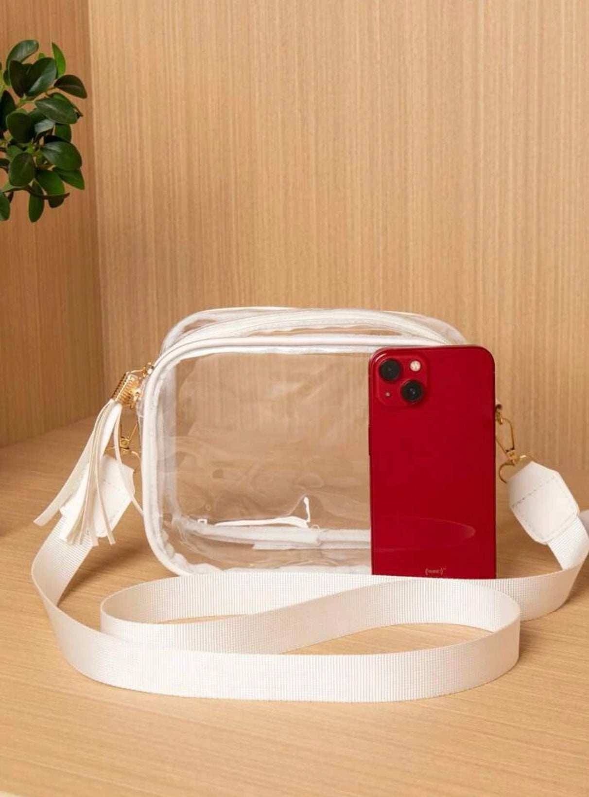 Clear Purse