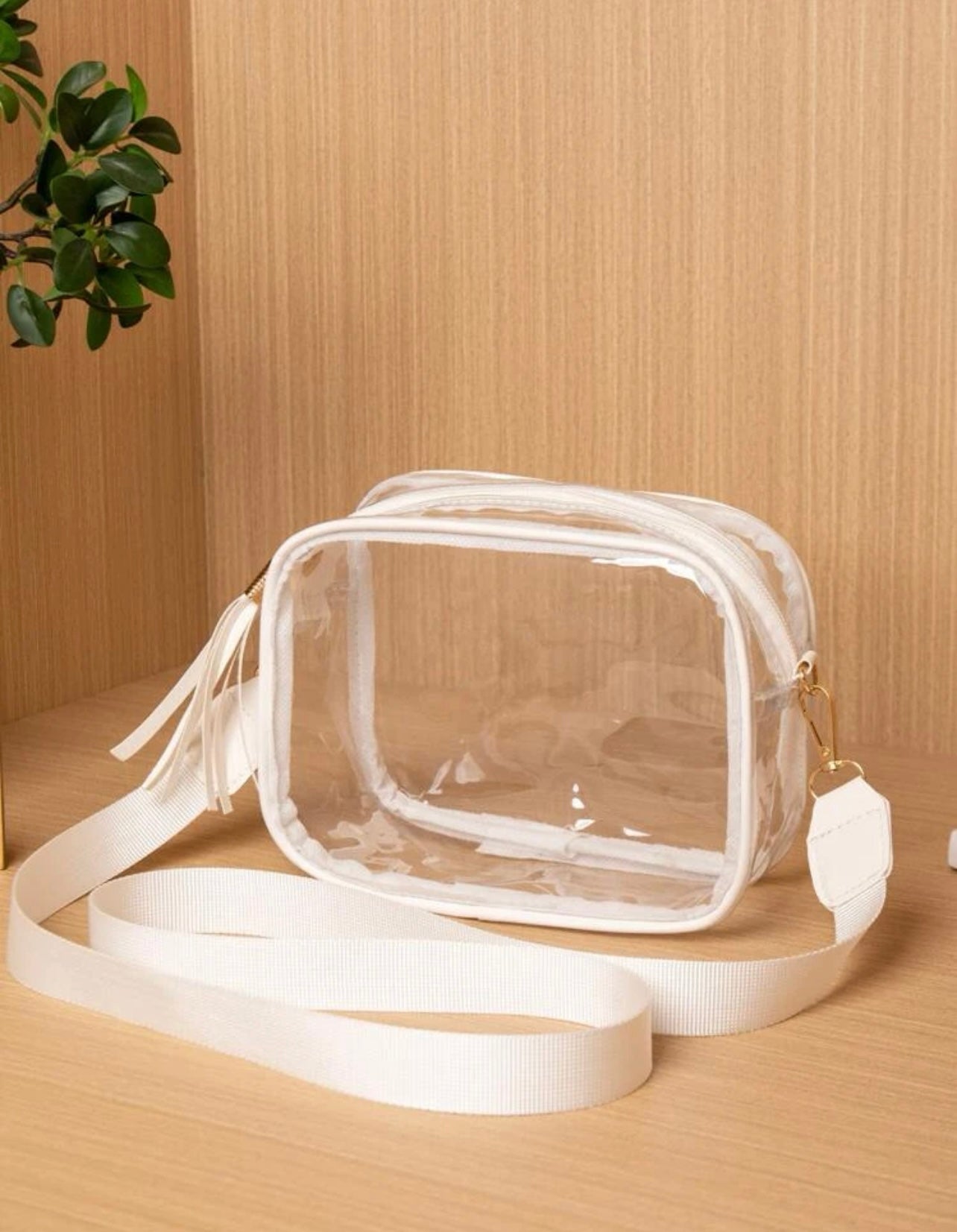 Clear Purse