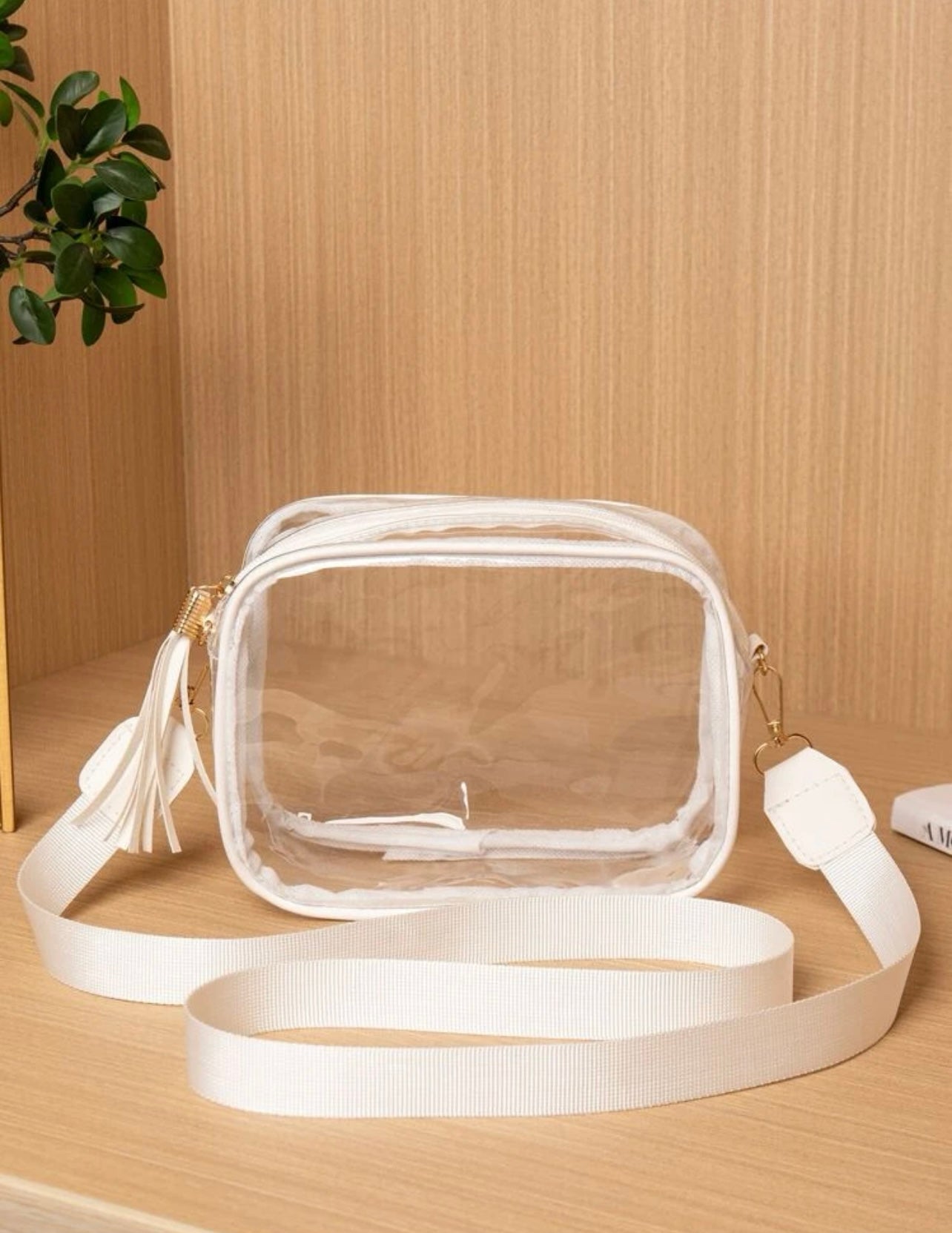 Clear Purse